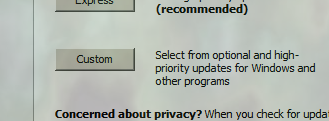 Click the Custom button on Microsoft Update