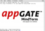 computing:mindterm2.png